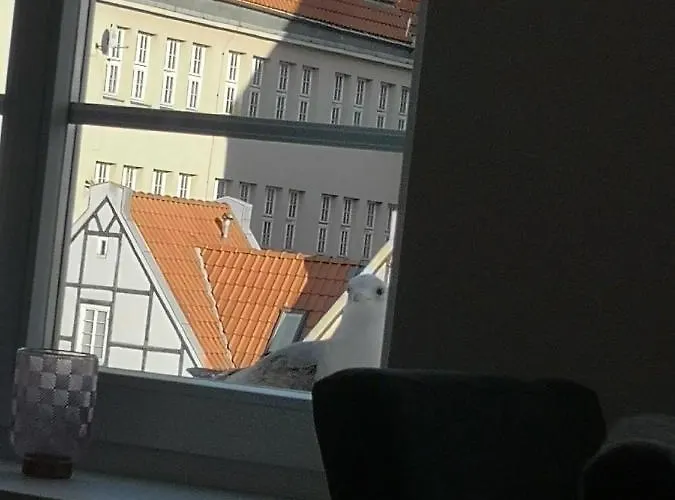 Apartament River View